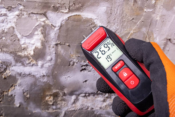 Best Mold Remediation for Specific Building Types in King City, OR